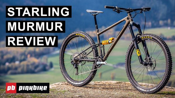 a video thumbnail "starling murmur review"