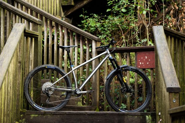 starling cycles roost on wooden steps