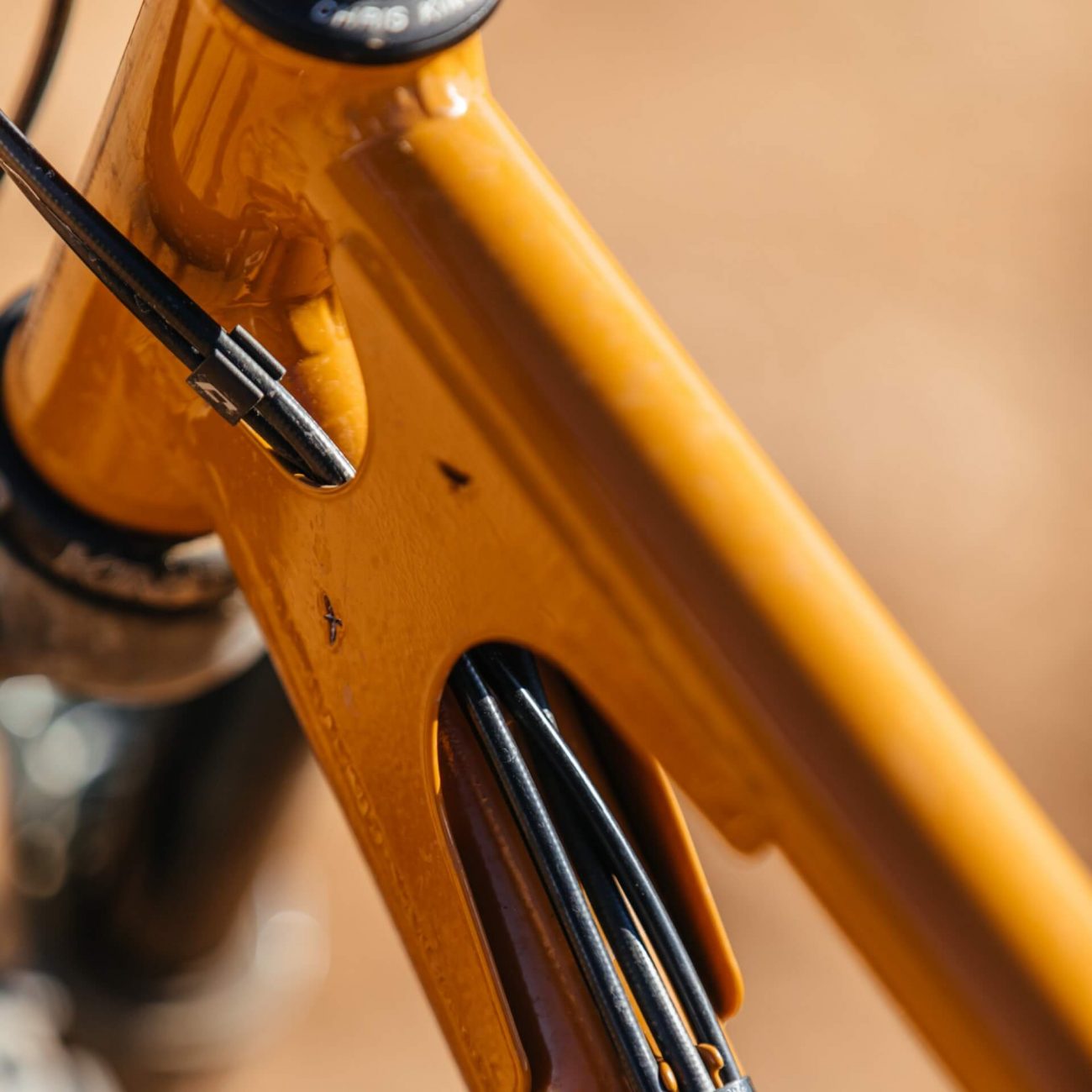 Starling Cycles Pumpkin