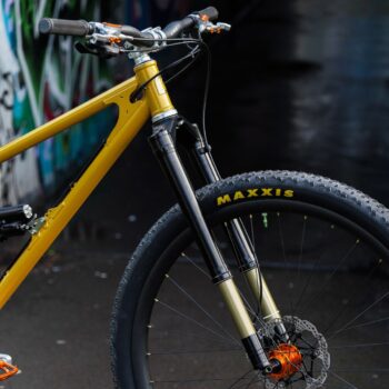 Starling Cycles Big Bird 1x1 13