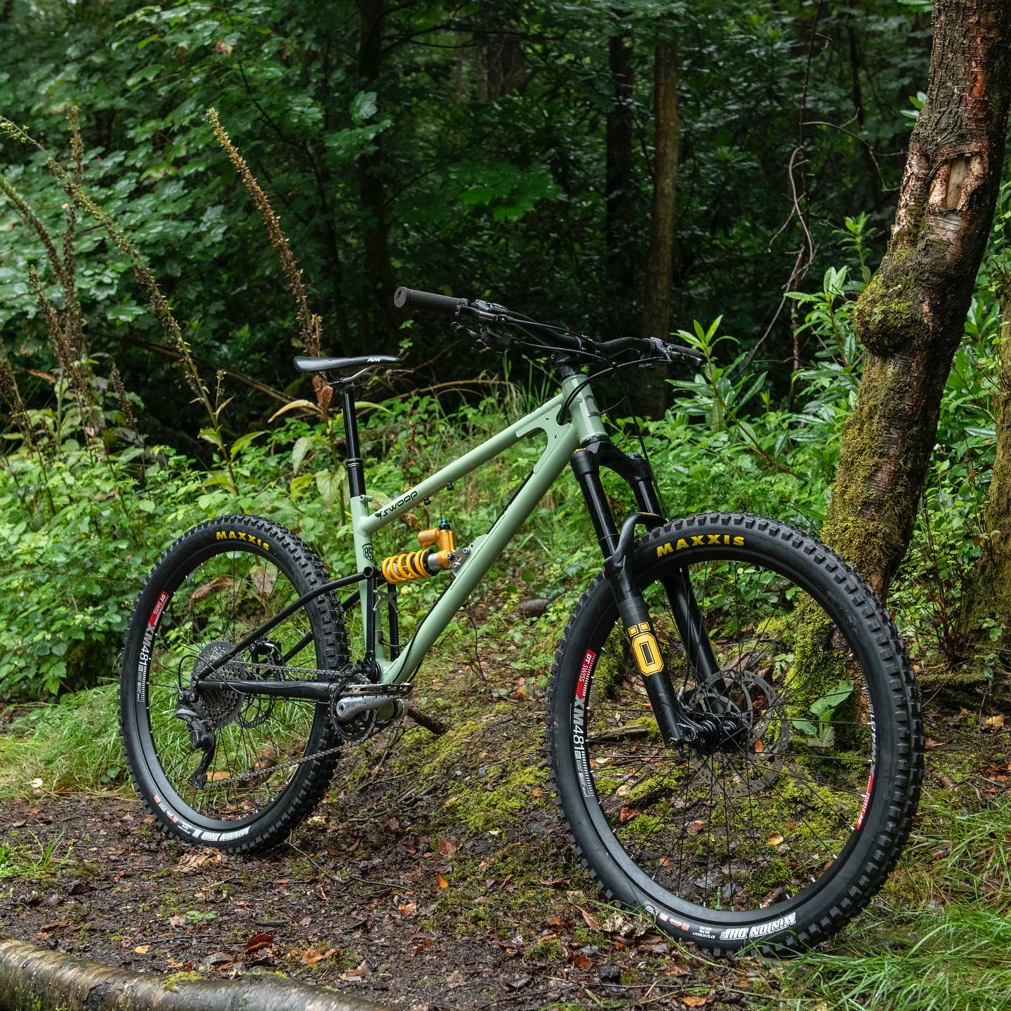 Swoop photo review